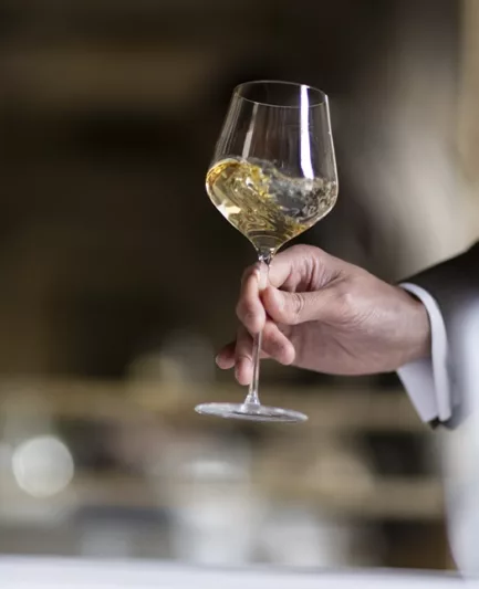 Vin - Ducasse Réception