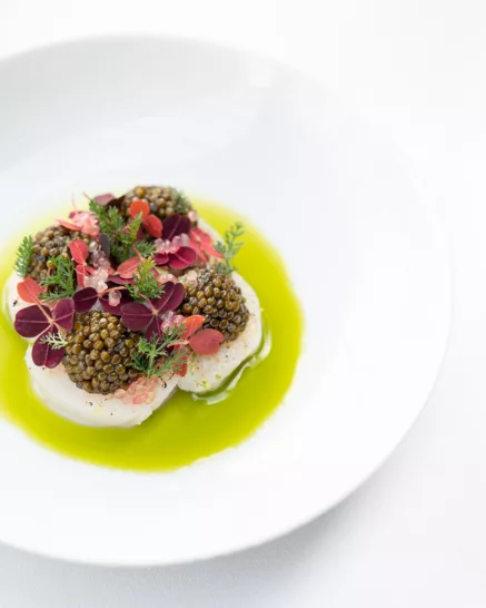 Noix de Saint-Jacques - Ducasse Réception